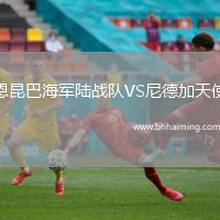 恩昆巴海軍陸戰(zhàn)隊(duì)VS尼德加天使