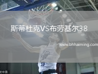 斯蒂杜克VS布勞基爾38