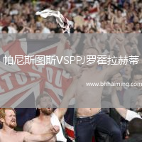 帕尼斯圖斯VSPPJ羅霍拉赫蒂