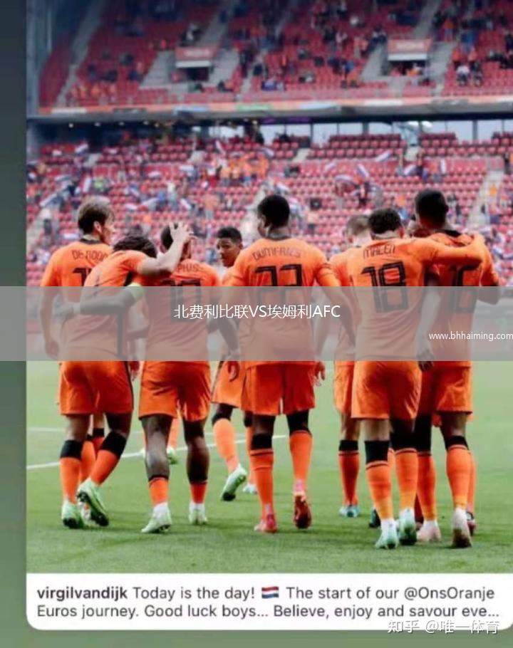北費利比聯VS埃姆利AFC