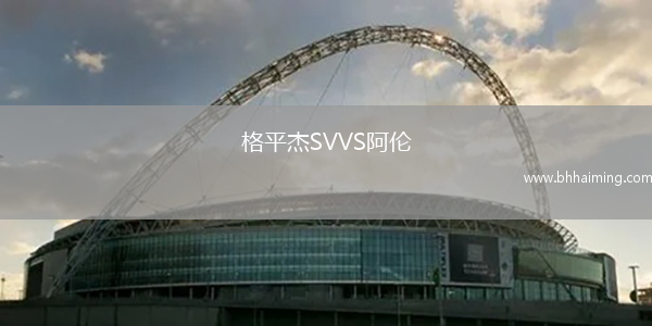 格平杰SVVS阿倫