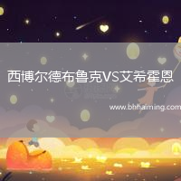 西博爾德布魯克VS艾希霍恩