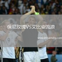 保尼玫瑰VS艾比安流浪