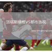 洛塔斯維格VS都市吉視