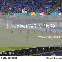 沙特阿拉伯VS北馬其頓