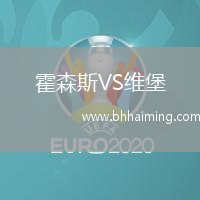 霍森斯VS維堡