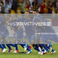 HJS學(xué)院VSTPV坦佩雷