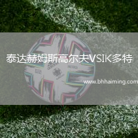 泰達赫姆斯高爾夫VSIK多特