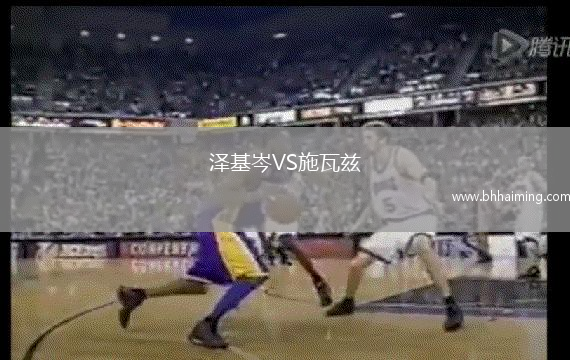 澤基岑VS施瓦茲