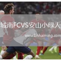 城南FCVS安山小綠人