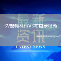 SV赫梅林根VS布魯蒙塔勒