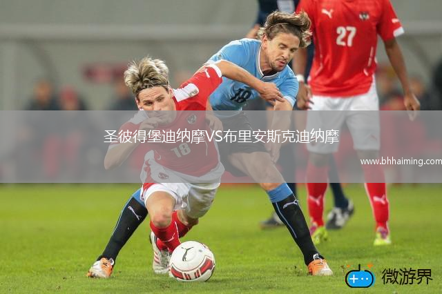圣彼得堡迪納摩VS布里安斯克迪納摩