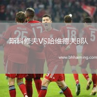 斯科修夫VS哈維德夫B隊(duì)