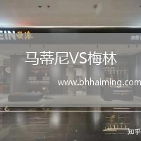 馬蒂尼VS梅林
