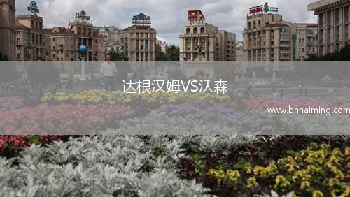 達根漢姆VS沃森