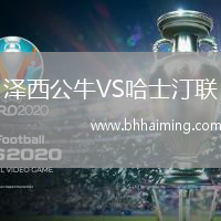 澤西公牛VS哈士汀聯(lián)