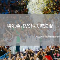埃爾金城VS科夫流浪者