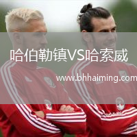 哈伯勒鎮VS哈索威