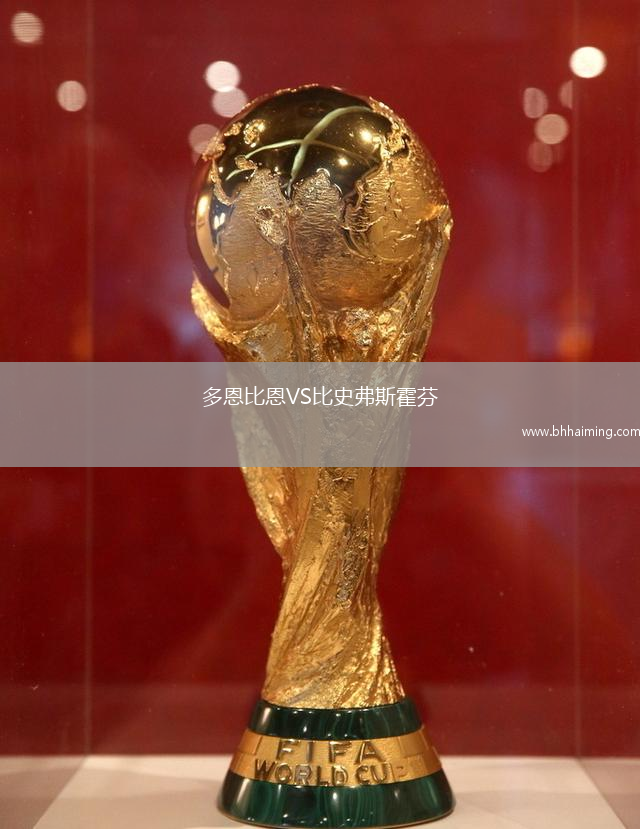 多恩比恩VS比史弗斯霍芬