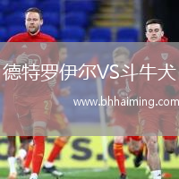 德特羅伊爾VS斗牛犬