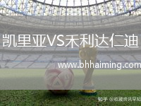 凱里亞VS禾利達仁迪