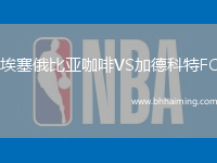 埃塞俄比亞咖啡VS加德科特FC