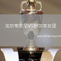 戈爾韋女足VS舒爾本女足
