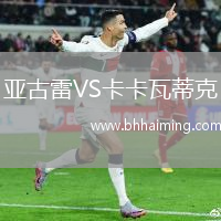 亞古雷VS卡卡瓦蒂克