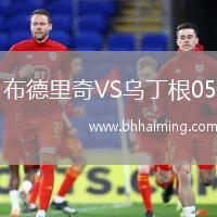 布德里奇VS烏丁根05