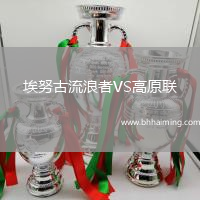 埃努古流浪者VS高原聯