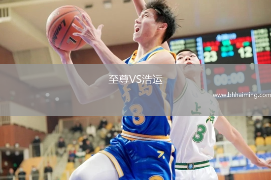 至尊VS浩運