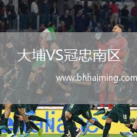 大埔VS冠忠南區